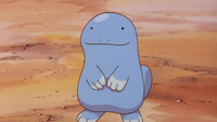 Lisa's Quagsire