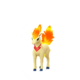 Ponyta