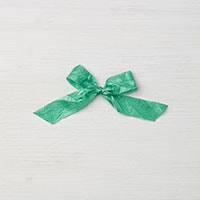 Emerald Envy 5/8" Crinkled Seam Binding Ribbon