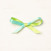 Coastal Cabana/Granny Apple Green 3/8" (1 Cm) Reversible Ribbon