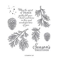 Peaceful Boughs Cling Stamp Set (En)