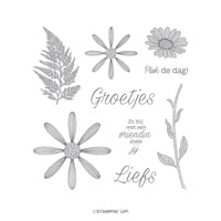 Pluk De Dag Cling Stamp Set (Dutch)