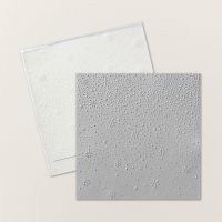 Snowflake Sky 3 D Embossing Folder