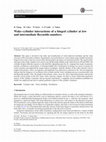 Research paper thumbnail of Wake–cylinder interactions of a hinged cylinder at low and intermediate Reynolds numbers