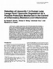 Research paper thumbnail of Detection of Lipocortin 1 in Human Lung Lavage Fluid: Lipocortin Degradation As a Possible Proteolytic Mechanism in the Control of Inflammatory Mediators and Inflammation