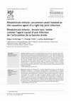 Research paper thumbnail of Rhodotorula minuta: uncommon yeast isolated as the causative agent of a right hip joint infection