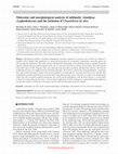 Research paper thumbnail of Molecular and morphological analysis of subfamily Alooideae (Asphodelaceae) and the inclusion ofChortolirioninAloe