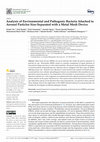 Research paper thumbnail of Analysis of Environmental and Pathogenic Bacteria Attached to Aerosol Particles Size-Separated with a Metal Mesh Device