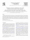 Research paper thumbnail of Phylogeny and species identification of the family Enterobacteriaceae based on dnaJ sequences