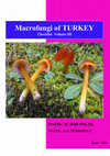 Research paper thumbnail of Macrofungi of Turkey  Checklist   Vol.3