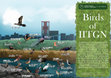 Research paper thumbnail of Campus Biodiversity Project: Birds of IIT Gandhinagar