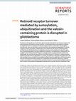 Research paper thumbnail of Retinoid receptor turnover mediated by sumoylation, ubiquitination and the valosin-containing protein is disrupted in glioblastoma