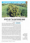 Research paper thumbnail of לוזחקלאותמתחדשתכנרת