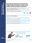 Research paper thumbnail of Quantifying dynamical heterogeneity length scales of interface water across model membrane phase transitions