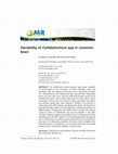 Research paper thumbnail of Variability of Colletotrichum spp in common bean