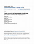 Research paper thumbnail of CHARACTERIZATION OF Colletotrichum spp. STRAINS FROM COMMON BEAN ANTHRACNOSE AND SCAB LESIONS