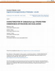 Research paper thumbnail of CHARACTERIZATION OF \u3ci\u3eColletotrichum\u3c/i\u3e spp. STRAINS FROM COMMON BEAN ANTHRACNOSE AND SCAB LESIONS