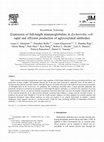 Research paper thumbnail of Expression of full-length immunoglobulins in Escherichia coli: rapid and efficient production of aglycosylated antibodies