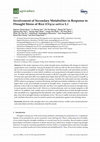 Research paper thumbnail of Involvement of Secondary Metabolites in Response to Drought Stress of Rice (Oryza sativa L.)