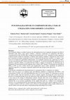 Research paper thumbnail of Funcionalización de un composito de SiO 2 -C para su utilización como soporte catalítico