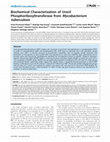 Research paper thumbnail of Biochemical Characterization of Uracil Phosphoribosyltransferase from Mycobacterium tuberculosis