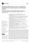 Research paper thumbnail of Screening of Wheat (Triticum aestivum L.) Genotypes for Drought Tolerance through Agronomic and Physiological Response