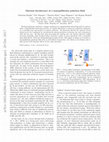 Research paper thumbnail of Thermal Decoherence of a Nonequilibrium Polariton Fluid