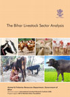 Research paper thumbnail of The Bihar livestock sector analysis