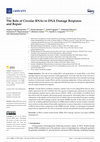 Research paper thumbnail of The Role of Circular RNAs in DNA Damage Response and Repair