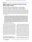 Research paper thumbnail of DDX54 regulates transcriptome dynamics during DNA damage response