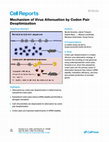 Research paper thumbnail of Mechanism of Virus Attenuation by Codon Pair Deoptimization