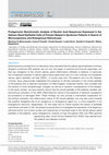 Research paper thumbnail of Postgenomic Bioinformatic Analysis of Nucleic Acid Sequences Expressed in the Salivary Gland Epithelial Cells of Primary Sjögren’s Syndrome Patients in Search of Microorganisms and Endogenous Retroviruses