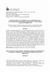 Research paper thumbnail of Sistema Radicular, Teores De Água e Distribuição De Fotoassimilados No Feijoeiro Submetidos a Variações De Adubação e Irrigação