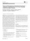 Research paper thumbnail of Clinical and Histopathological Amelioration of Experimental Autoimmune Encephalomyelitis by AAV Vectors Expressing a Soluble Interleukin-23 Receptor