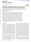 Research paper thumbnail of Elucidating the morphological and structural evolution of iron oxide nanoparticles formed by sodium carbonate in aqueous medium