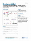 Research paper thumbnail of Cardiomyocytes Sense Matrix Rigidity through a Combination of Muscle and Non-muscle Myosin Contractions