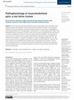 Research paper thumbnail of Pathophysiology of musculoskeletal pain: a narrative review