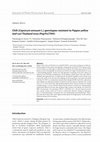 Research paper thumbnail of Chili (Capsicum annuum L.) genotypes resistant to Pepper yellow leaf curl Thailand virus (PepYLCTHV)