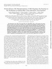 Research paper thumbnail of Protein Kinase CK2 Phosphorylation of EB2 Regulates Its Function in the Production of Epstein-Barr Virus Infectious Viral Particles