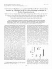 Research paper thumbnail of Conversion of Staphylococcus epidermidis Strains from Commensal to Invasive by Expression of the ica Locus Encoding Production of Biofilm Exopolysaccharide