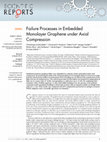 Research paper thumbnail of Failure Processes in Embedded Monolayer Graphene under Axial Compression