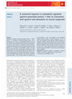 Research paper thumbnail of A conserved sequence in calmodulin regulated spectrin‐associated protein 1 links its interaction with spectrin and calmodulin to neurite outgrowth