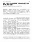 Research paper thumbnail of Binding of ATP and ATP analogues to the uncoating ATPase Hsc70 (70 kDa heat-shock cognate protein)