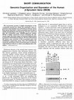 Research paper thumbnail of Genomic Organization and Expression of the Human β-Synuclein Gene (SNCB)