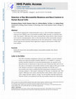 Research paper thumbnail of Detection of Bax Microsatellite Mutations and BaxÃÂ2 Isoform in Human Buccal Cells