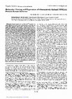 Research paper thumbnail of Molecular cloning and expression of alternatively spliced PITSLRE protein kinase isoforms