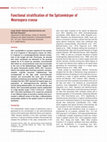 Research paper thumbnail of Functional stratification of the SpitzenkÃ¶rper ofNeurospora crassa