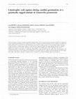 Research paper thumbnail of Catastrophic wall rupture during conidial germination of a genetically tagged mutant of Glomerella graminicola