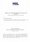 Research paper thumbnail of Specific roles of phosphatidylglycerols in hosts and microbes