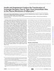 Research paper thumbnail of Insulin and Angiotensin II Induce the Translocation of Scavenger Receptor Class B, Type I from Intracellular Sites to the Plasma Membrane of Adipocytes